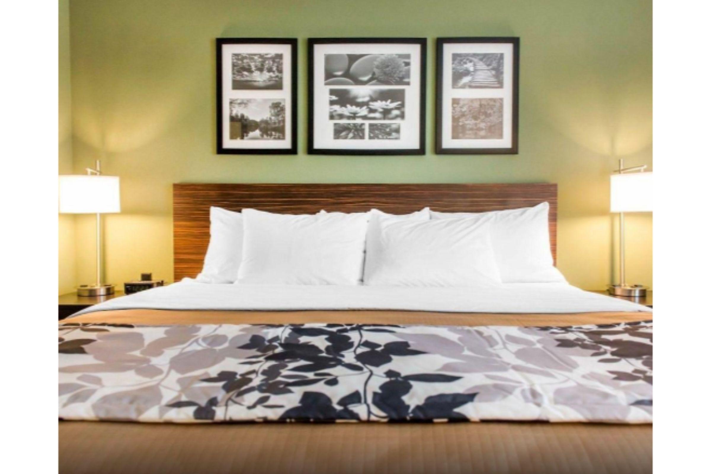 Mossy Head Sleep Inn & Suites Defuniak Springs - Crestview מראה חיצוני תמונה